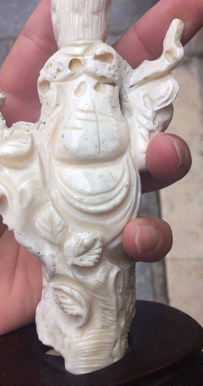 回流425克台湾白MOMO珊瑚二郎神摆件图9