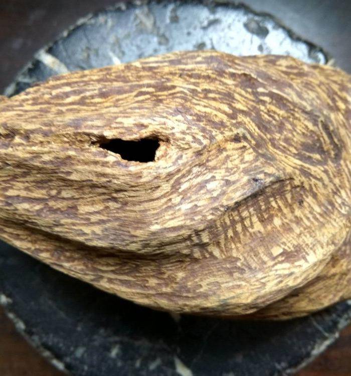 圣品 越南芽庄 沉香随形老料图3