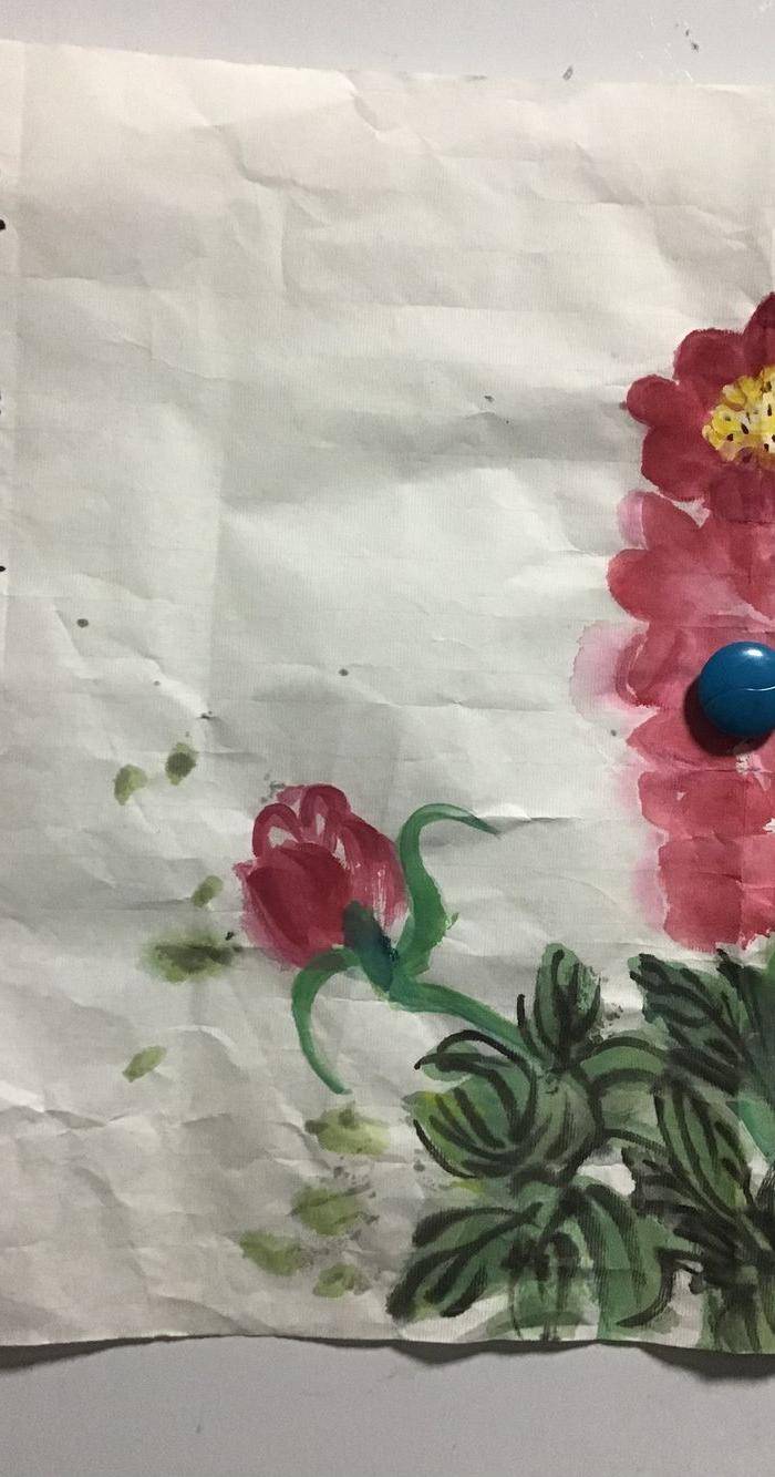 回流郑宗修花卉图4