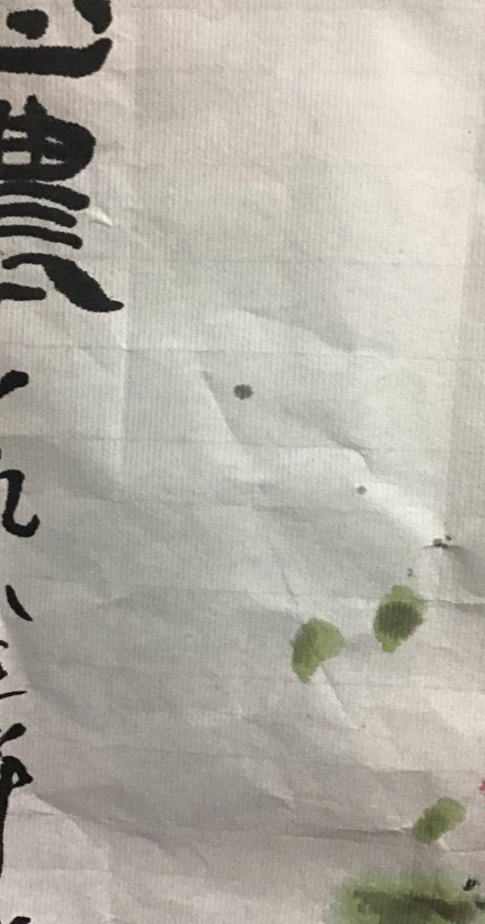 回流郑宗修花卉图7