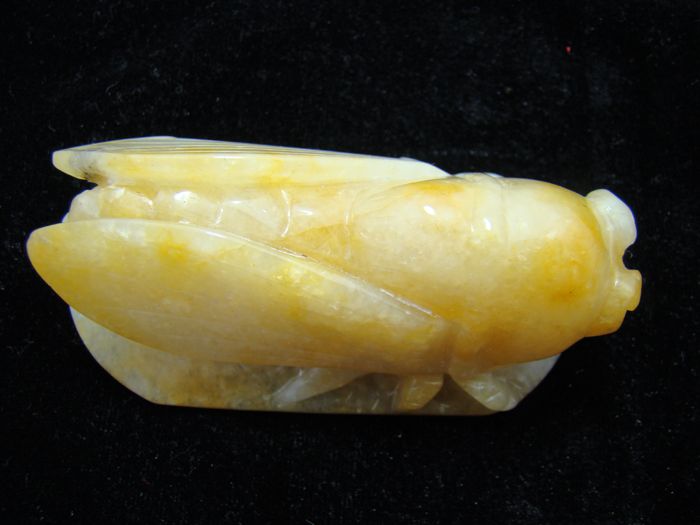 (26)新疆金黄玉(一鸣惊人)