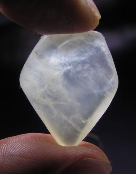 精品寿山荔枝冻