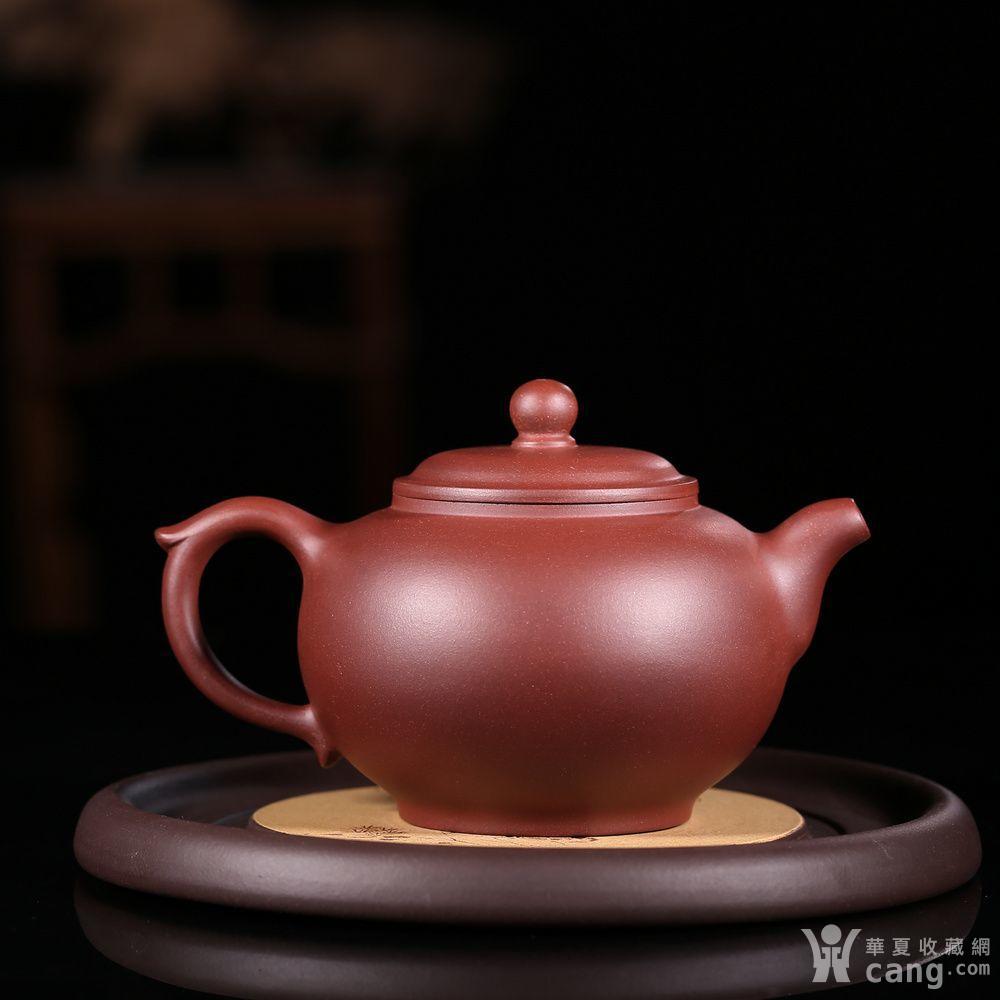 国家级高级工艺美术师蒋建军佛珠壶作品 - 紫砂壶 - 杂项 - 华夏收藏