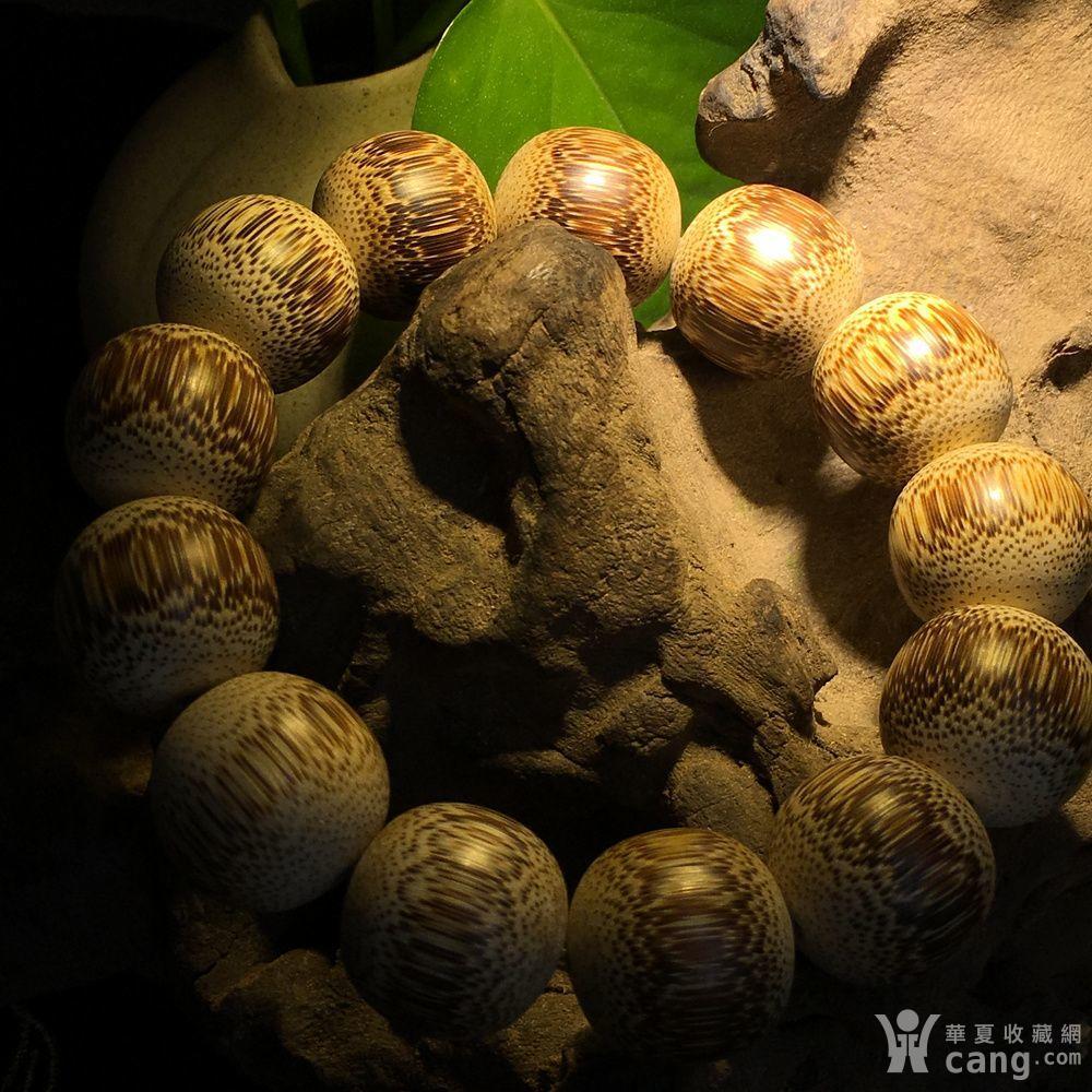 天然棕竹手串 观音竹19mm