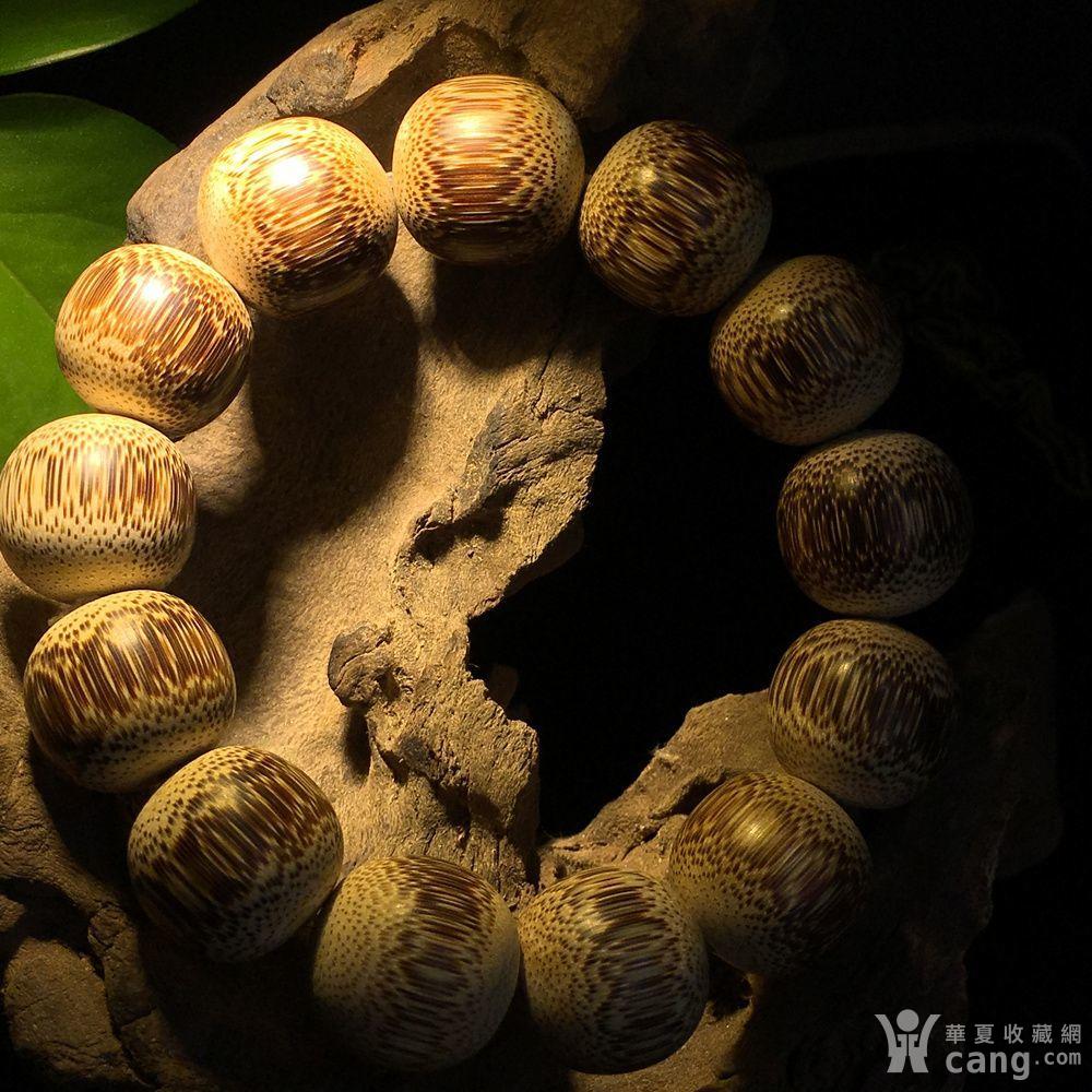 天然棕竹手串 观音竹19mm