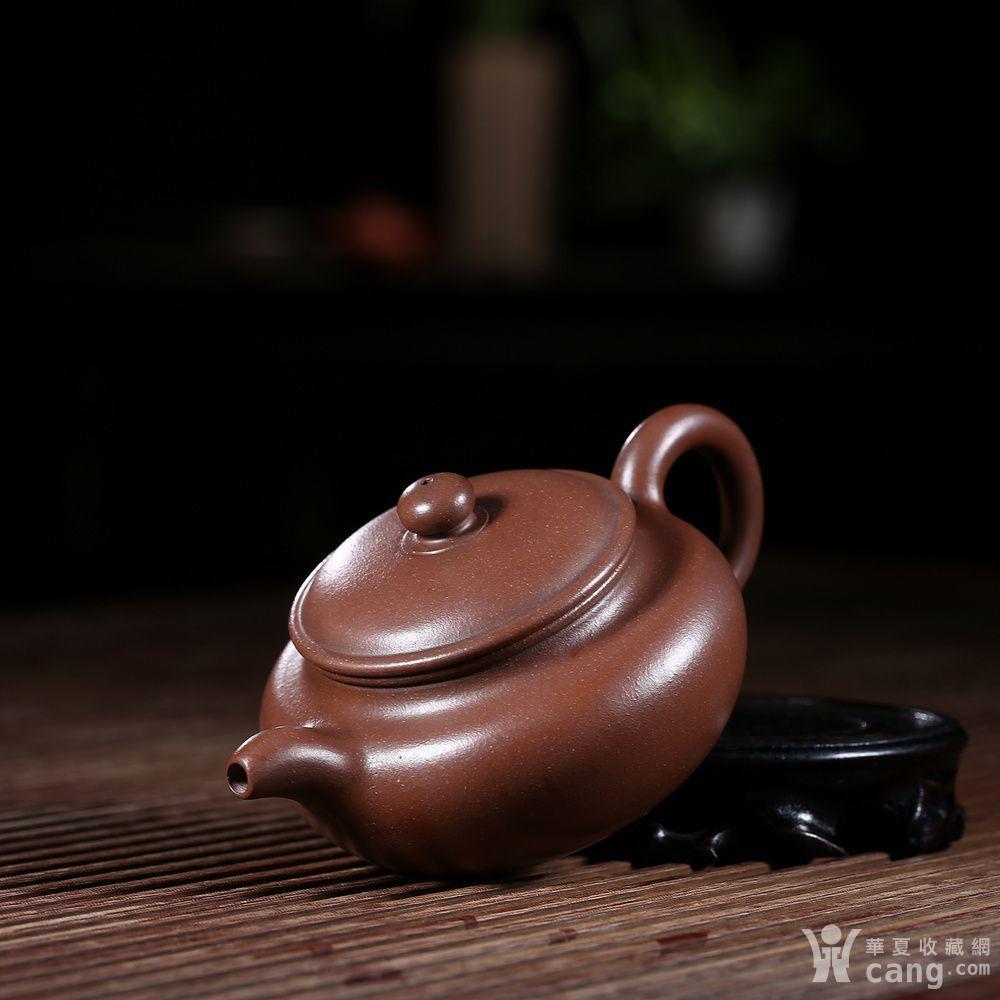杂项 紫砂壶 国家级高级工艺美术师倪新安老师力作震撼来袭!