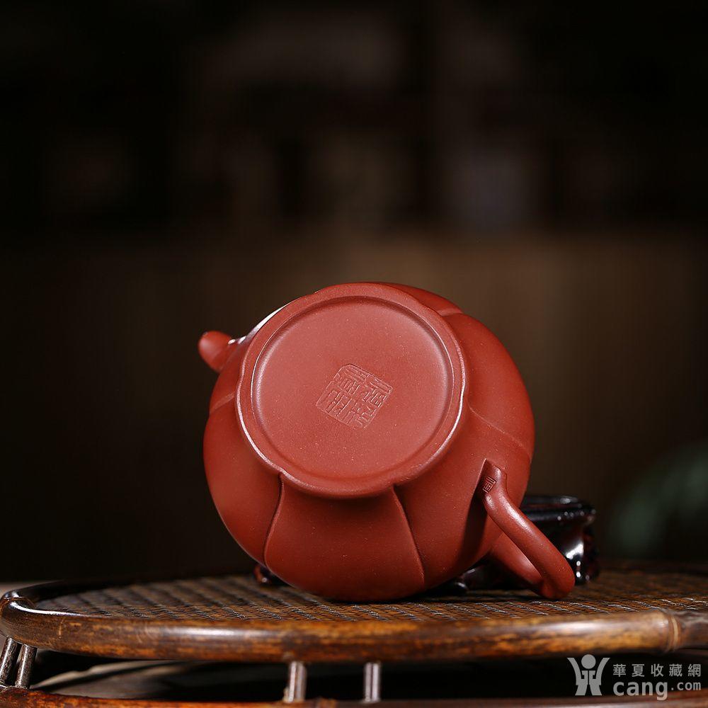 倪顺生 原矿优质朱泥大红袍 佛莲壶 - 紫砂壶 - 杂项 - 华夏收藏网