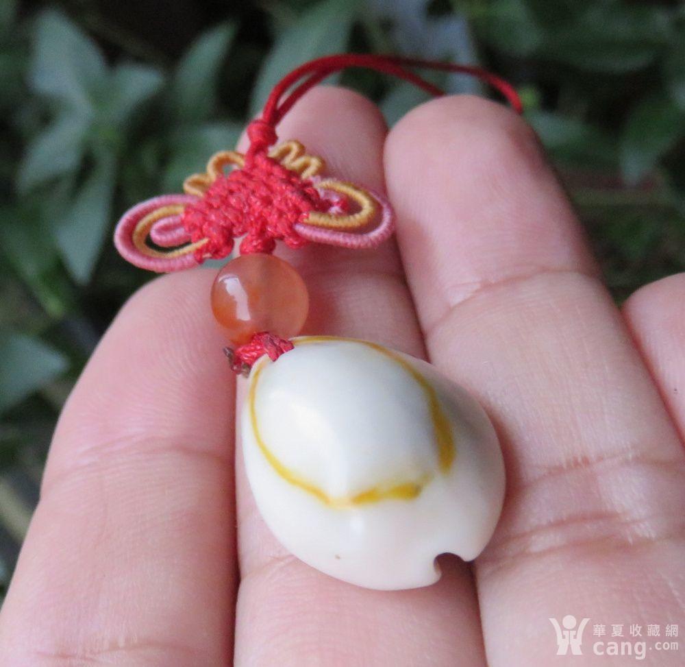 少见带彩老 贝币 配天然南红玛瑙手机坠