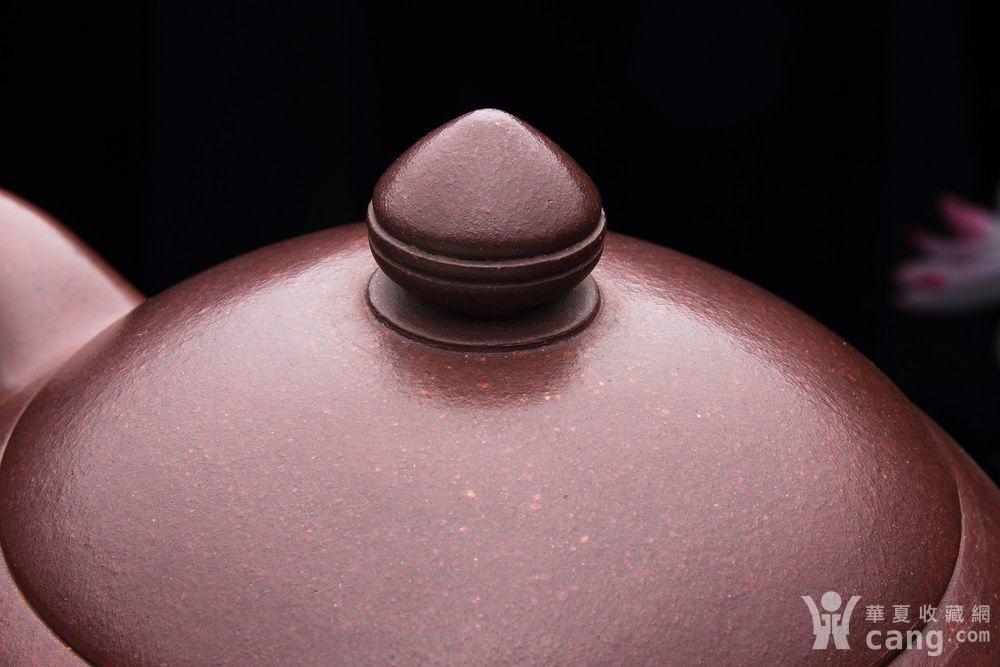 范曾大师合作作品,实力派国家级工艺美术师蒋旭初 获奖作品 - 紫砂壶