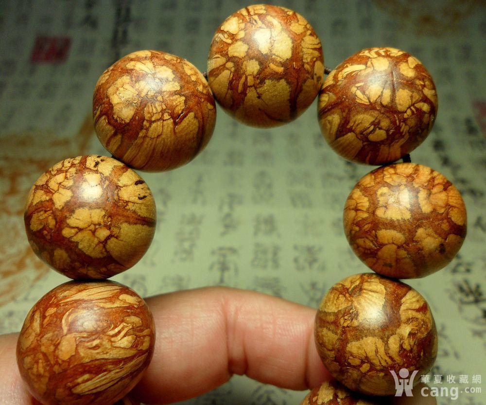 精品梅花入骨丹2.0手串!漂亮花纹!