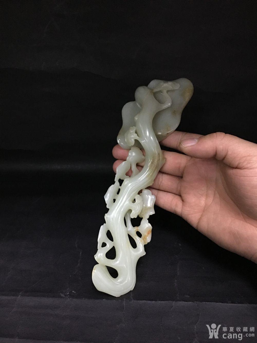 和田玉灵芝如意