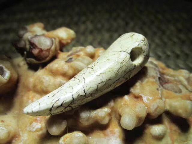 开门到代 战汉时期 鸡骨白鱼 辟邪牙型 吊坠玉质细腻 器型古朴 随身佩