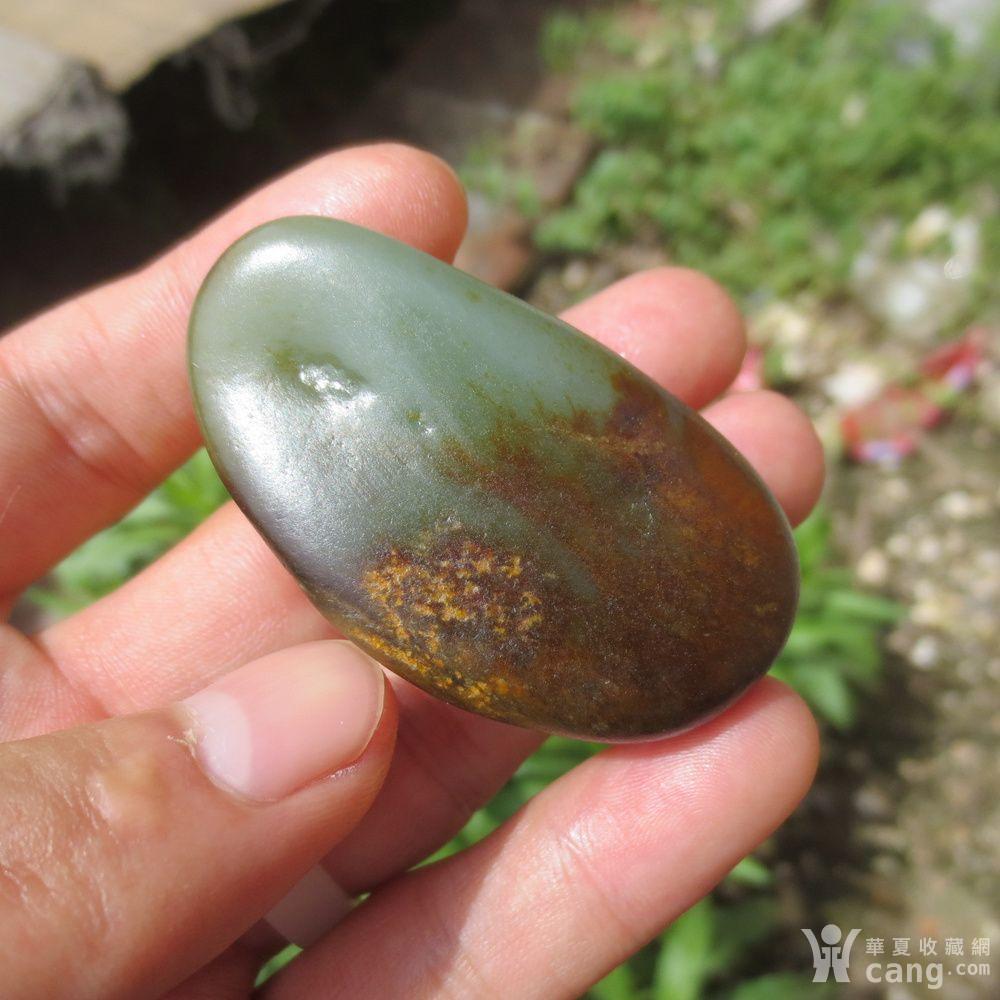 红皮沙枣青籽料49.2g