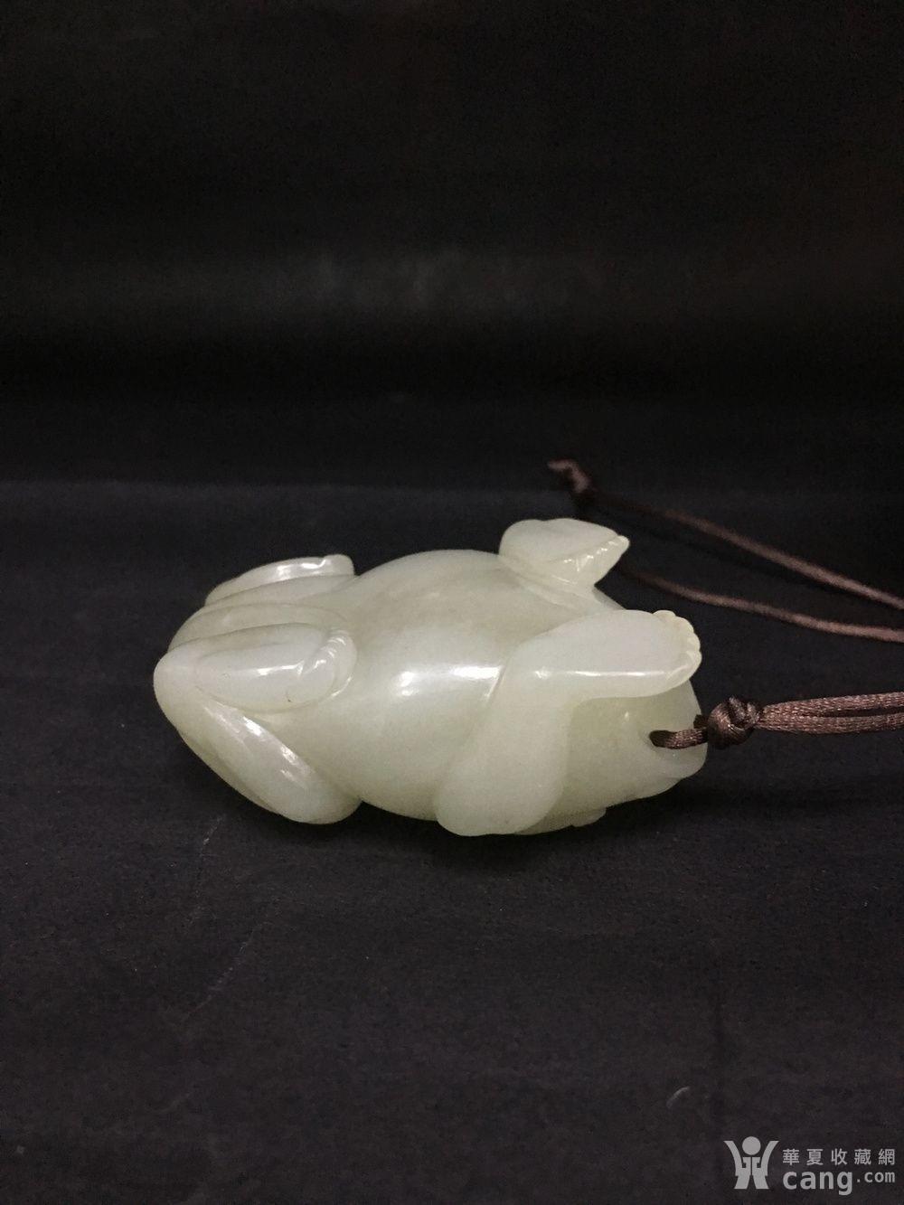 典藏清代和田玉青蛙