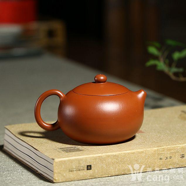 富贵西施壶 单芳老师 实力派陶艺师 - 紫砂壶 - 杂项 - 华夏收藏网