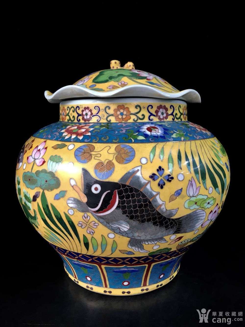 精品元代景泰蓝掐丝珐琅彩鱼藻纹荷叶罐一对